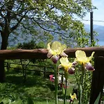Farm stay Da Attilio