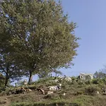 Feriegård Da Attilio