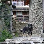 Da Attilio