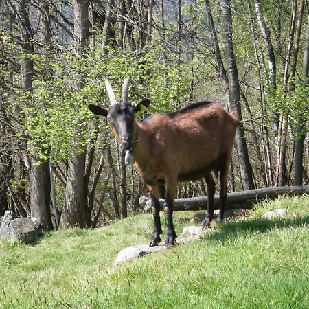 Da Attilio Vakantieboerderij *