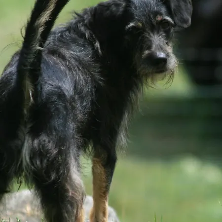 Da Attilio Vakantieboerderij