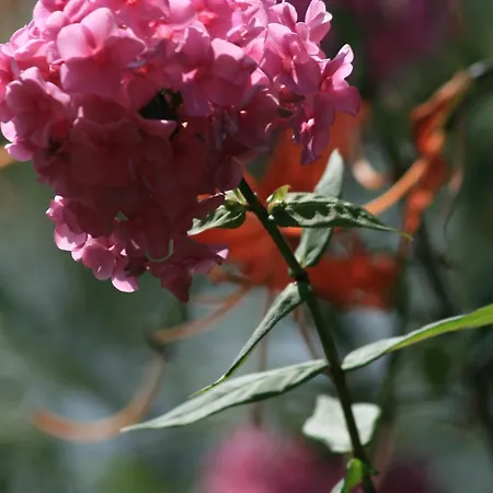 Da Attilio Gospodarstwo agroturystyczne