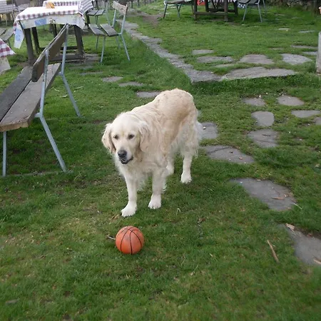 Vakantieboerderij Da Attilio