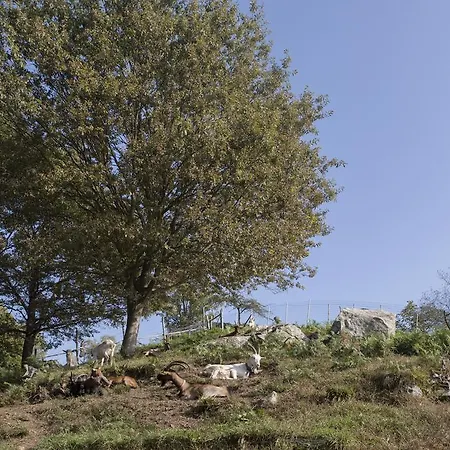 Vakantieboerderij Da Attilio