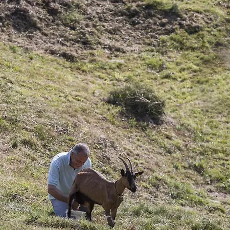 Vakantieboerderij Da Attilio *