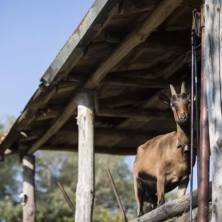 Gospodarstwo agroturystyczne Da Attilio Cannobio