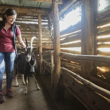 Gospodarstwo agroturystyczne Da Attilio Cannobio