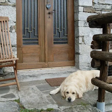 Da Attilio * Cannobio