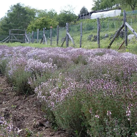 Da Attilio Gospodarstwo agroturystyczne *
