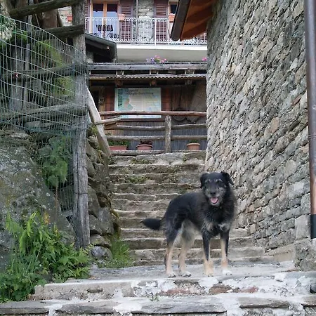 Da Attilio